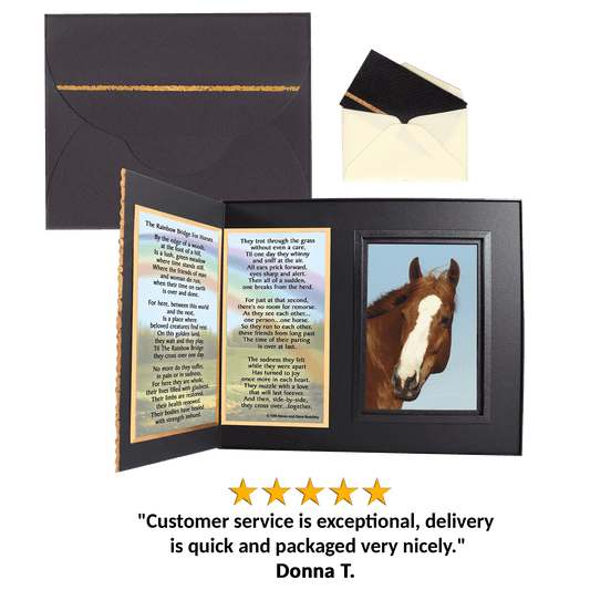 "Rainbow Bridge  for Horses"