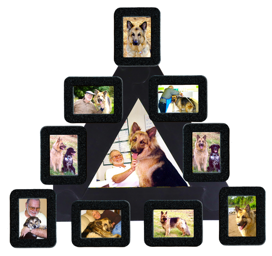 pet memorial photo collage