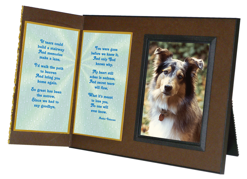 If Tears Could Build a Stairway... pet memorial gift