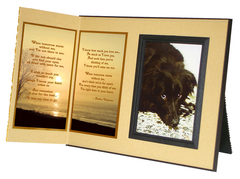 When Tomorrow Starts Without Me pet loss sympathy picture frame 
