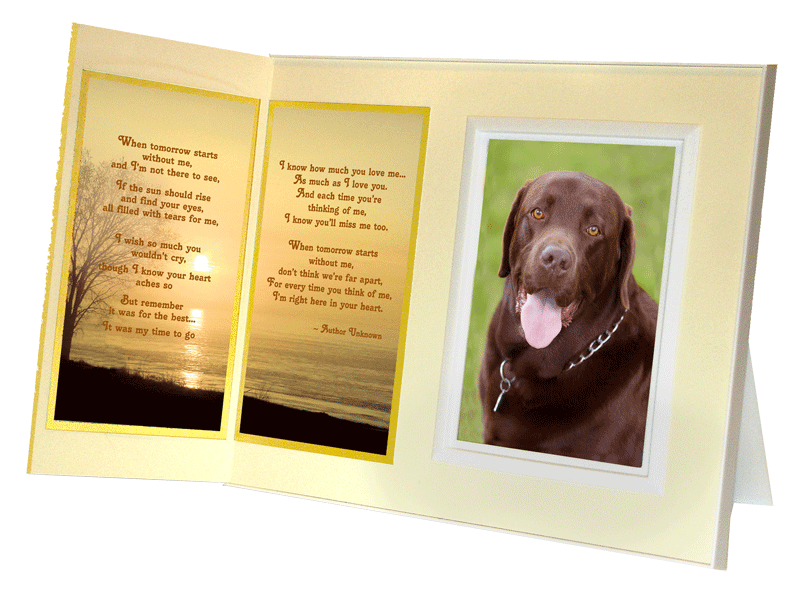 When Tomorrow Starts Without Me pet loss remembrance picture frame 