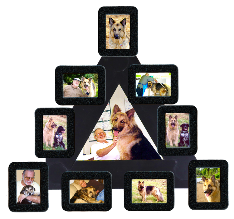 pet memorial photo collage