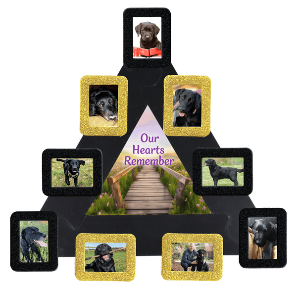 Pet Remembrance Photo Wall Collage