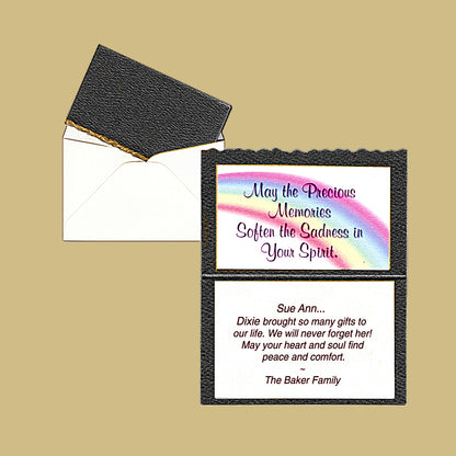 "Beyond the Rainbow"