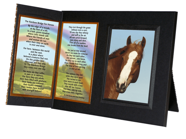 "Rainbow Bridge  for Horses"