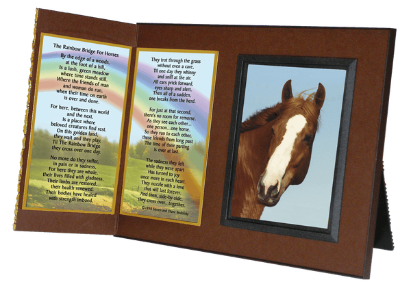 "Rainbow Bridge  for Horses"