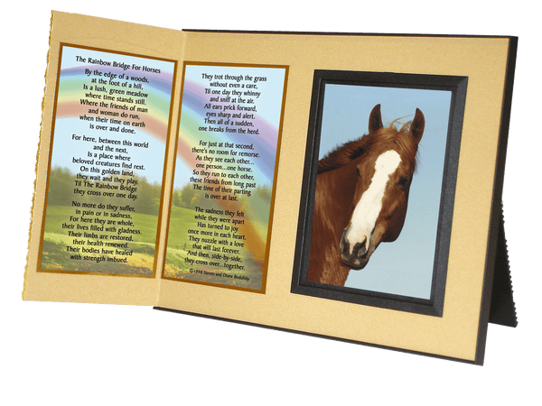 "Rainbow Bridge  for Horses"