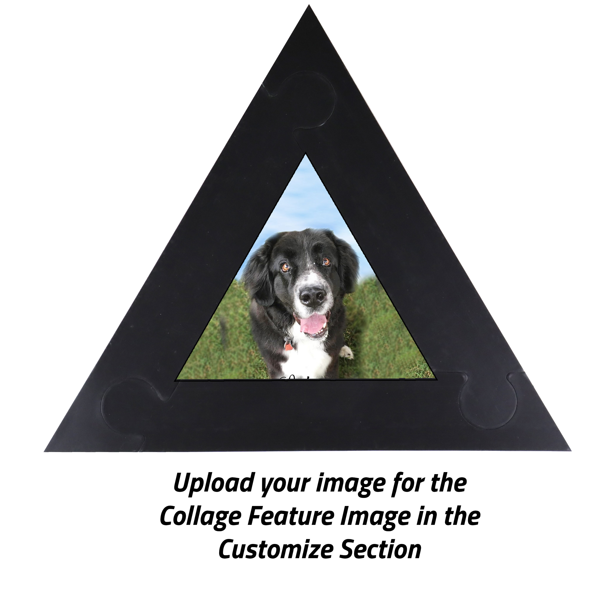 Pet Remembrance Photo Collage Kit Healing The Heart pet-remembrance-photo-collage-kit-healing-the-heart