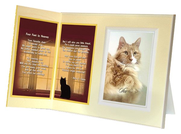 Cat Lover's Pet Loss Remembrance Frame