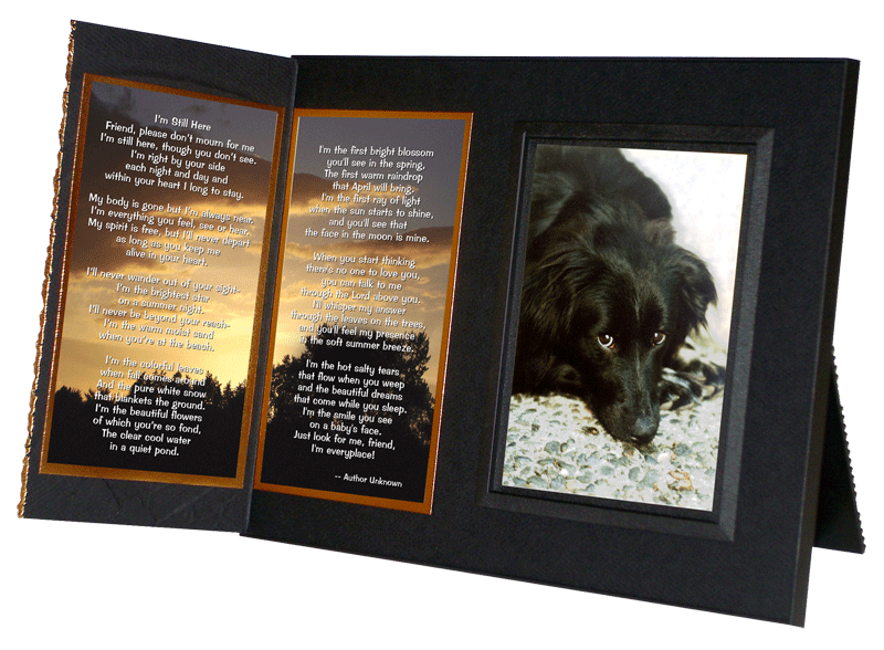 I'm Still Here pet loss memorial and remembrance gift