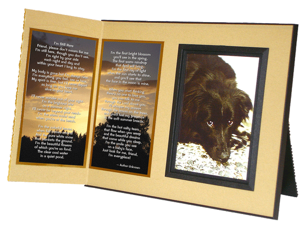 I'm Still Here pet loss picture frame gift