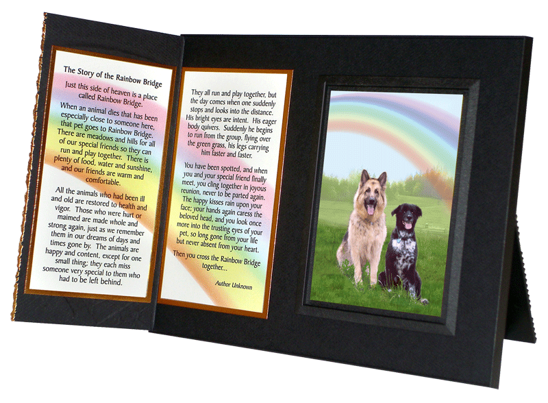 Pet Lover Remembrance Gift, Rainbow Bridge, Memorial Pet Loss Picture  Frame and Sympathy Gift Package