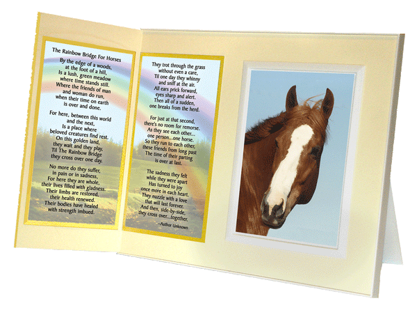 Rainbow Bridge for Horses pet loss memorial frame