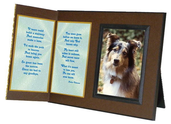 If Tears Could Build a Stairway... pet memorial gift