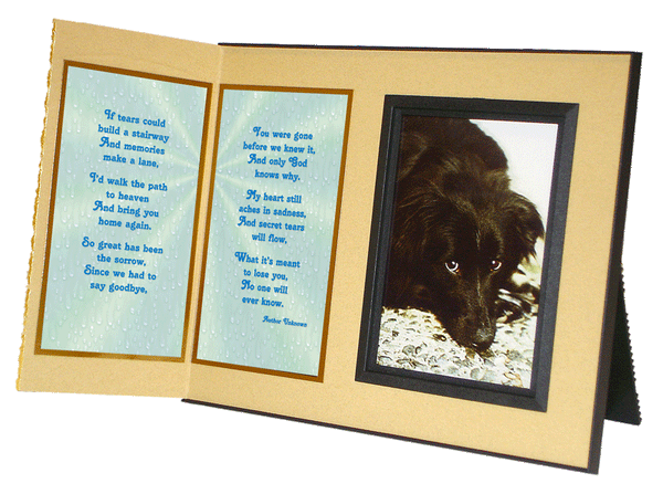 If Tears Could Build a Stairway... pet remembrance picture frame