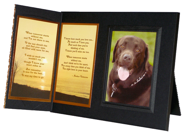 When Tomorrow Starts Without Me pet loss sympathy picture frame 