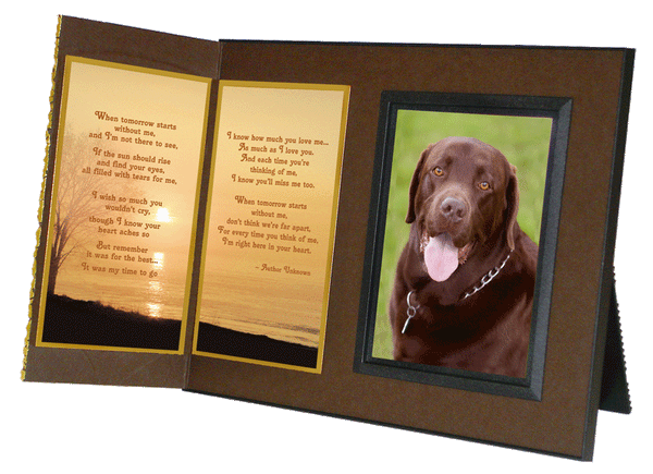 When Tomorrow Starts Without Me pet loss picture frame 