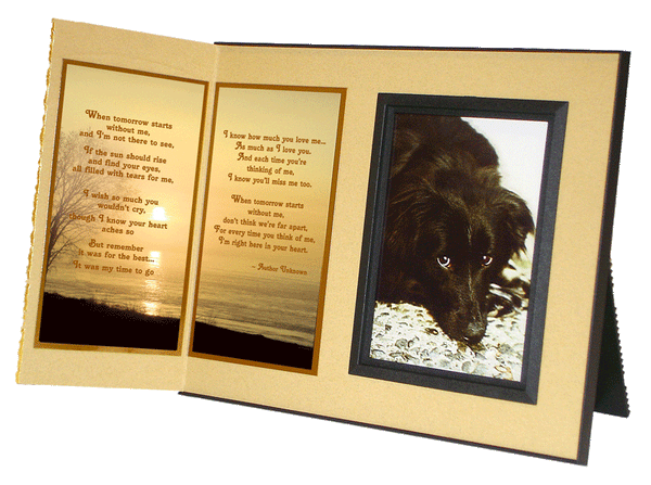 When Tomorrow Starts Without Me pet loss sympathy picture frame 
