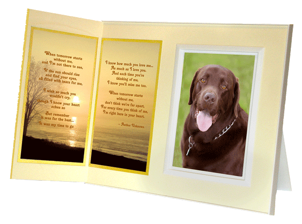 When Tomorrow Starts Without Me pet loss remembrance picture frame 